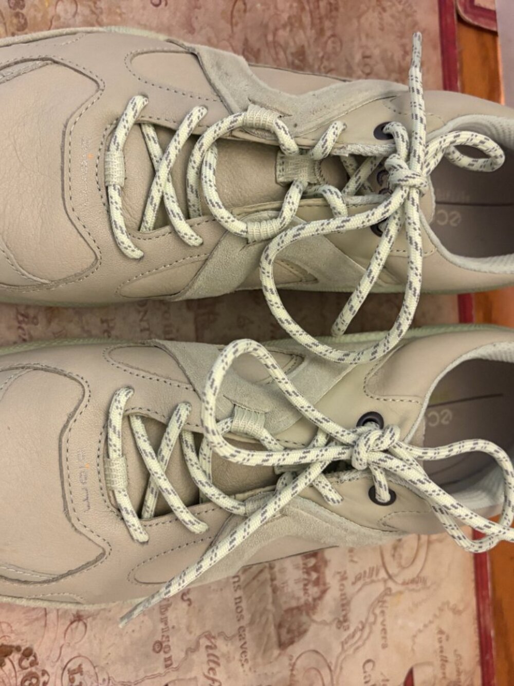 ECCO Biom 2.1 Low Trail Hiking/Running Shoes - Picture 2 of 5